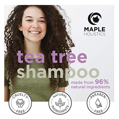 maple holistics Árbol del té puro champú de aceite - Aceite esencial natural Champú Anticaspa Secos Tomy y escamosa cuero cabelludo - Anti-hongos y anti-bacteriana - Sulfato Hidratante Limpiador libre - Prevenir los piojos y adelgazamiento del cabello