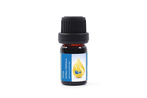 Milenrama (Achillea millefolium) - Aceite esencial 100% puro, sin diluir, grado terapéutico (5ml)