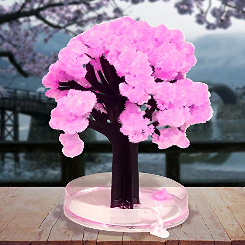 MonstruoManía Árbol Mágico Sakura, Flores de Cerezo, Kit para Árbol Japonés en Miniatura, Decoración Natural