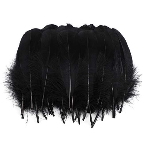 Mwoot Black Feathers Plumas de Ganso, 250pcs Negro Natural Plumas de Gallo Manualidades Decoración para Disfraces Hats, Hogar Bricolaje, Ropa Casa Fiesta (accesorio de disfraz)