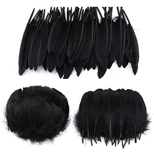 Mwoot Black Feathers Plumas de Ganso, 250pcs Negro Natural Plumas de Gallo Manualidades Decoración para Disfraces Hats, Hogar Bricolaje, Ropa Casa Fiesta (accesorio de disfraz)