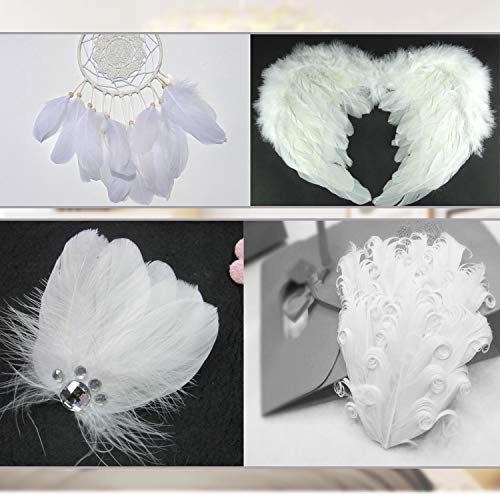 Mwoot White Feathers Plumas de Ganso, 250pcs Blanco Natural Plumas de Gallo Manualidades Decoración para Disfraces Hats, Hogar Bricolaje, Ropa Casa Fiesta (accesorio de disfraz)