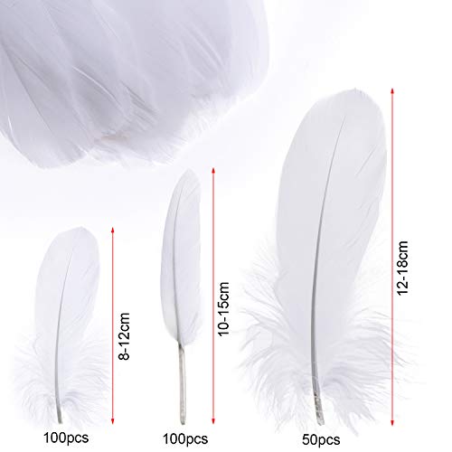 Mwoot White Feathers Plumas de Ganso, 250pcs Blanco Natural Plumas de Gallo Manualidades Decoración para Disfraces Hats, Hogar Bricolaje, Ropa Casa Fiesta (accesorio de disfraz)