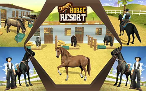 My horse hotel resorts : train & care horses