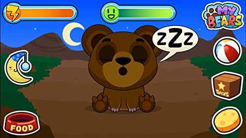 My Virtual Bear