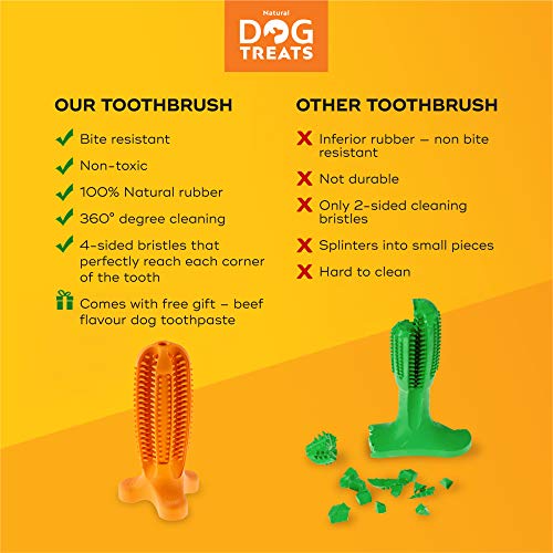 Natural Dog Treats Cepillo de Dientes y Dentífrico Set para Perros, 100% Natural Caucho Dog Brushing Stick, Juguete para Masticar, Tall Large