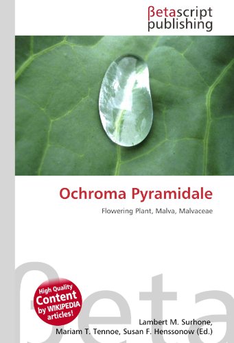 Ochroma Pyramidale: Flowering Plant, Malva, Malvaceae