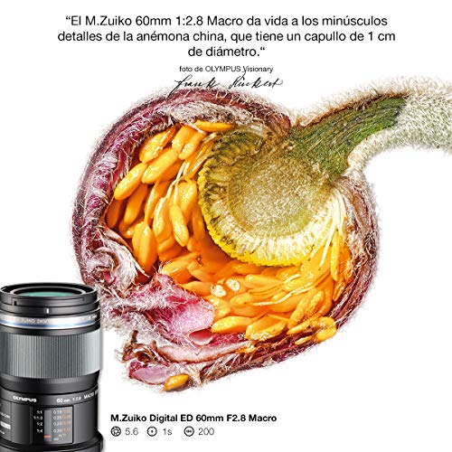 Olympus M.Zuiko - Objetivo Digital ED 60 mm F2.8, zoom estándar, apto para todas las cámaras MFT (modelos Olympus OM-D & PEN, serie G de Panasonic), negro