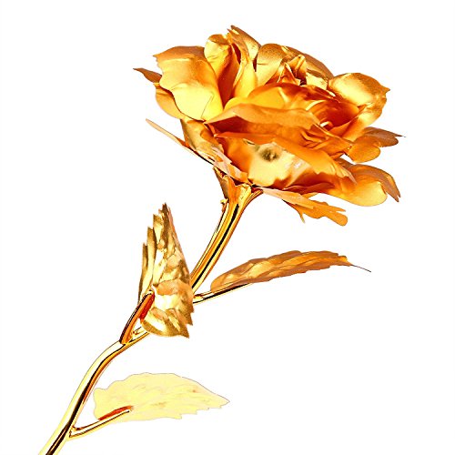 Onerbuy Creative madre regalo del día de 24 K lámina de oro rosa flores full Blossom presenta, romántico regalo para ella con caja, hecho a mano & amor dure para siempre (Oro)