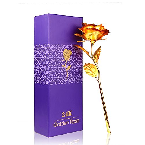 Onerbuy Creative madre regalo del día de 24 K lámina de oro rosa flores full Blossom presenta, romántico regalo para ella con caja, hecho a mano & amor dure para siempre (Oro)