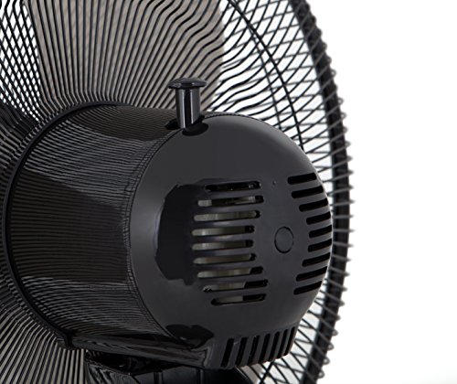 Orbegozo TF 0144 Ventilador de sobremesa, 50 W, Color negro