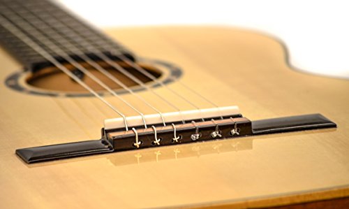 Ortega RCE131 - Guitarra electroacústica (cedro y caoba, tamaño 4/4), color natural