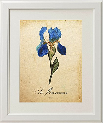 Pack de láminas MI JARDÍN Azul. Tres láminas tamaño A4. Posters con imágenes de botánica. Decoración de hogar. Láminas para enmarcar. Papel 250 Gramos