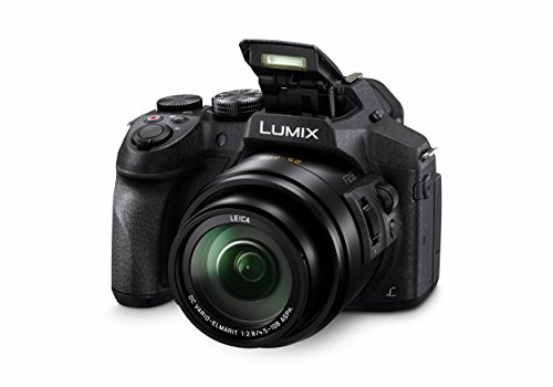 Panasonic Lumix DMC-FZ300 - Cámara Bridge de 12.1 MP (Zoom de 24X, Objetivo F2.8 de 25-600 mm, Estabilizador Óptico, 4K, Sellada contra Polvo y Salpicaduras), Color Negro