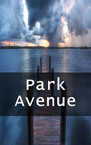 Park Avenue (Italian Edition)