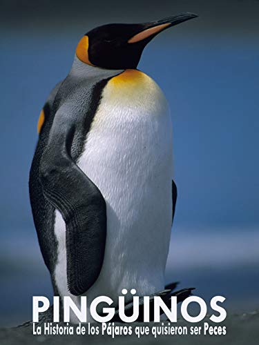 Pingüinos, la historia de las aves que quisieron ser peces