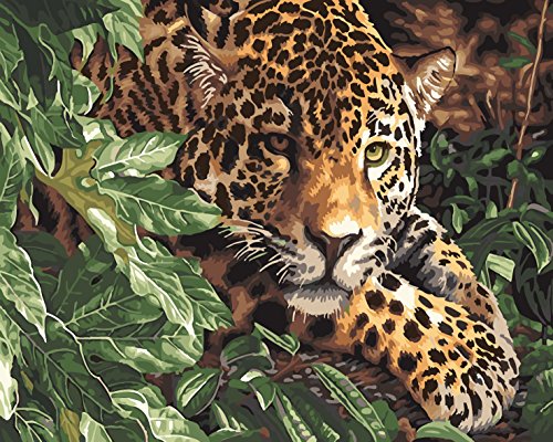 Pintura por los kits de los números, pinturas de los animales para los adultos niños mayores, pintura al óleo de DIY en lona con el marco de madera (Leopardo)