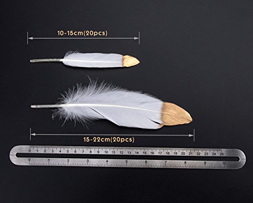 Plumas de Ganso, 40 pcs Oro Sumergido Blanco Natural Plumas de Gallo Manualidades Decoración para Disfraces Hats, Hogar Bricolaje, Ropa Casa Fiesta (accesorio de disfraz)