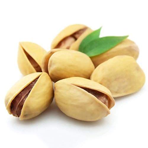 Portal Cool Ãrbol de nueces Semillas de pistachos Pistacia Semillas de Ã¡rboles frutales raras Planta tropical Semillas de frutos secos