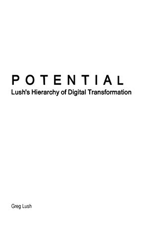 Potential | Lush's Hierarchy of Digital Transformation