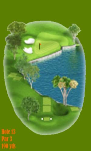 Pro Golf Game: Colonial