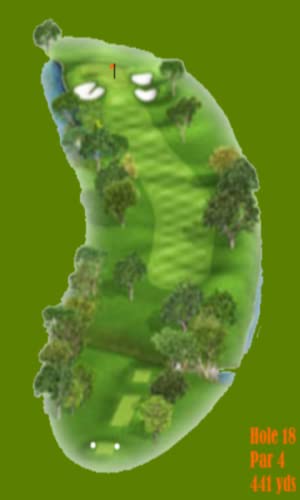 Pro Golf Game: Colonial