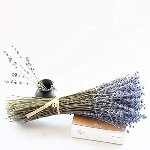 PTVwire Ramos de Lavanda secas 100% Natural para decoración del hogar, Fragancia del hogar, Flores de jabón Hechas a Mano