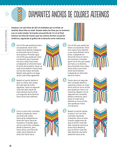 Pulseras De La Amistad Trenzadas (El Libro De..)