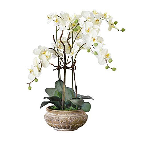 Pureday Planta Artificial orquídea orquídea Blanco-Crema con Maceta de cerámica marrón 58 cm de Altura