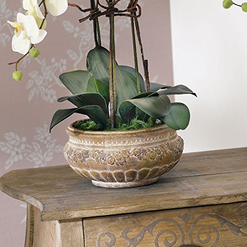 Pureday Planta Artificial orquídea orquídea Blanco-Crema con Maceta de cerámica marrón 58 cm de Altura