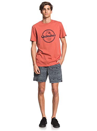 Quiksilver Words Remain - Camiseta para Hombre Screen tee, Hombre, Redwood, S