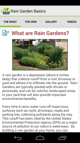 Rain Garden