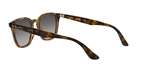 Ray-Ban 4258 Gafas de sol, Havana, 50 Unisex-Adulto