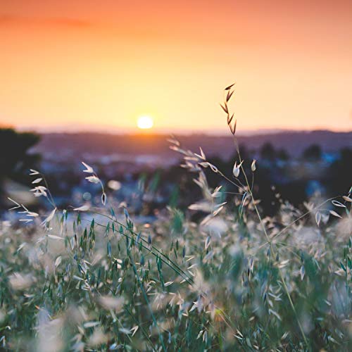 Rayo De Sol Calmante