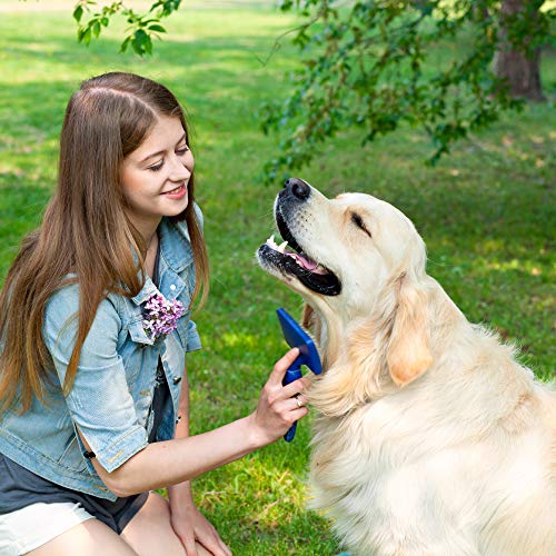 RC ocio Acondicionador suavizante para Perros y Gatos de Pelo Largo y Corto/Champu mascarilla para Perro Evita tirones desenredante Durante el Cepillado/Acabado Profesional