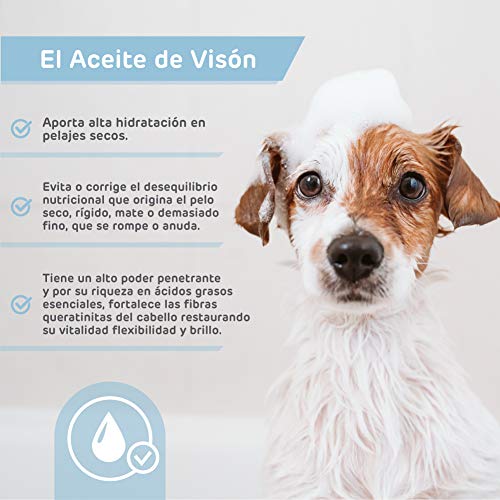 RC ocio Pack Champu Perro Pelo Largo + Acondicionador suavizante Aceite de Vison Protege nutre el Pelaje para Uso en Razas de Pelo Largo como Yorkshires, Afgano, Maltés, Lhasa Apso, y Setters