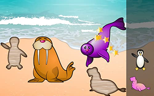 Rompecabezas para niños - El mar, los peces y los animales acuáticos ! Juegos educativos rompecabezas - Juegos gratis
