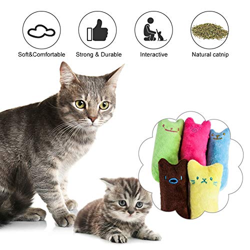 SEGMINISMART Hierba Gatera Juguete, Juguetes del Catnip, Interactivos para Gatos, Dientes para Masticar limpios, Juguete de gatol para Todos los Gatos y Gatitos Adecuado