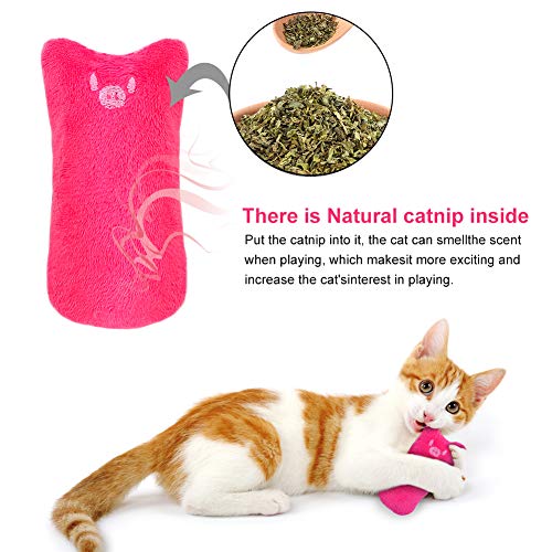 SEGMINISMART Hierba Gatera Juguete, Juguetes del Catnip, Interactivos para Gatos, Dientes para Masticar limpios, Juguete de gatol para Todos los Gatos y Gatitos Adecuado