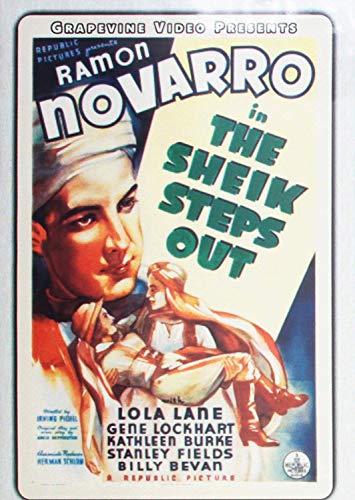 Sheik Steps Out [Edizione: Stati Uniti] [Italia] [DVD]