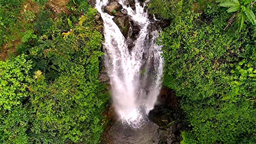 Tropical Cascades - 2 DVD Set of Waterfalls - 2 Hours of Tropical Waterfalls From Around the World with Real Waterfall and Water Sounds - Perfect to Relax with and Soothing for Bedtime