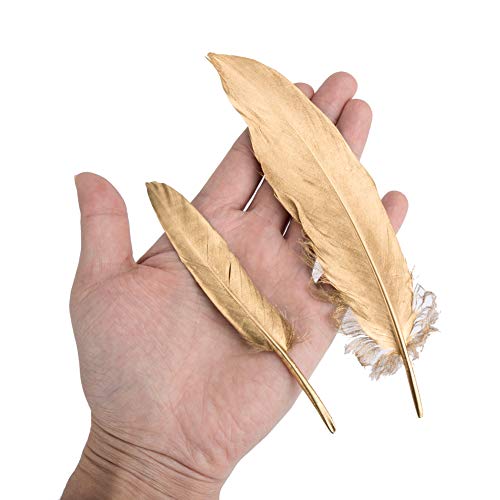 Vidillo Plumas de Ganso, 40 pcs Oro Natural Plumas de Gallo Manualidades Decoración para Disfraces Hats, Hogar Bricolaje, Ropa Casa Fiesta (Accesorio de Disfraz) (Feathers J)