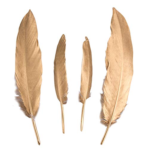 Vidillo Plumas de Ganso, 40 pcs Oro Natural Plumas de Gallo Manualidades Decoración para Disfraces Hats, Hogar Bricolaje, Ropa Casa Fiesta (Accesorio de Disfraz) (Feathers J)