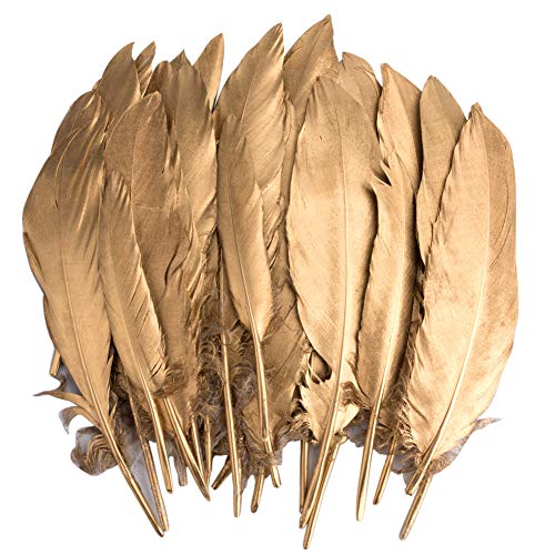 Vidillo Plumas de Ganso, 40 pcs Oro Natural Plumas de Gallo Manualidades Decoración para Disfraces Hats, Hogar Bricolaje, Ropa Casa Fiesta (Accesorio de Disfraz) (Feathers J)