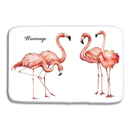 YnimioHOB Cocina Piso Entrada de baño Alfombras Alfombras Cuatro Pink Flamingo Grupo Conjunto Brillantes Aves exóticas Aislado Blanco Vida Silvestre Antideslizante Baño Alfombrilla