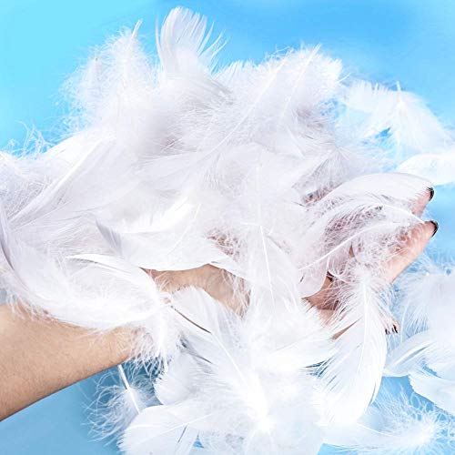 100 plumas de ganso SunEast, para bricolaje, atrapasueños, manualidades, bodas, fiestas, decoración del hogar, festivales, decoración para baby shower, 5 – 8 cm, color negro, Blanco, 5-8cm