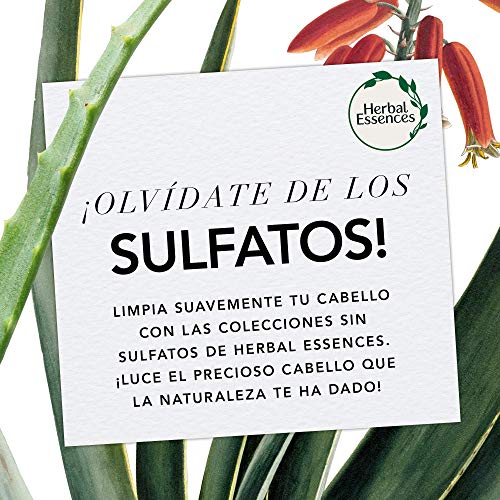 Acondicionador Herbal Essences Bio: Renew sin Sulfatos con Aloe Intenso Y Bambú, en Colaboración con el Royal Botanic Gardens de KEW