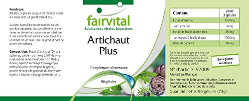 Alcachofa Plus - VEGANO - 90 Cápsulas - con extracto de ortiga 10: 1 y baya de enebro - Calidad Alemana