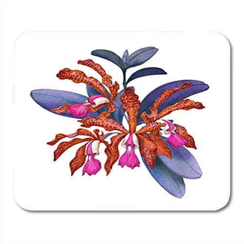 Alfombrilla de ratón para juegos Flor de orquídea tropical exótica Cattleya Acuarela sobre una decoración blanca aislada Oficina antideslizante Respaldo de goma Alfombrilla de ratón Alfombrilla de rat