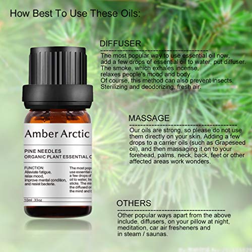 AMBER ARCTIC Agujas de Pino Aceite Esencial Para Difusor, Aceite de Agujas de Pino de Terapia de Plantas Orgánicas Frescas 100% Puras 10Ml / 0.33Oz